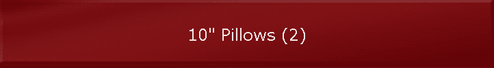 10" Pillows (2)